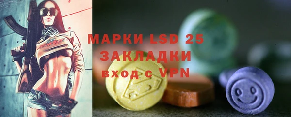 ПСИЛОЦИБИНОВЫЕ ГРИБЫ Гусев