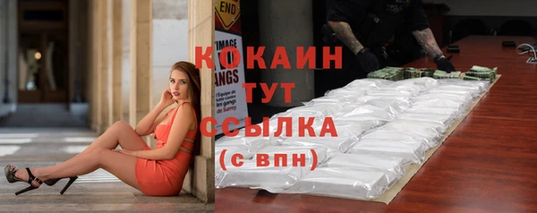 ПСИЛОЦИБИНОВЫЕ ГРИБЫ Гусев