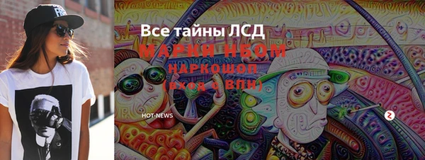 ПСИЛОЦИБИНОВЫЕ ГРИБЫ Гусев
