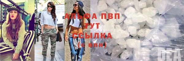 ПСИЛОЦИБИНОВЫЕ ГРИБЫ Гусиноозёрск