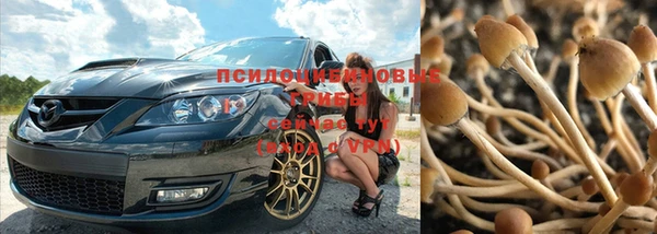 ПСИЛОЦИБИНОВЫЕ ГРИБЫ Гусев