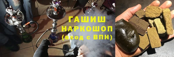 индика Дмитриев