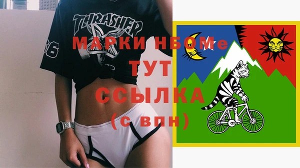 ПСИЛОЦИБИНОВЫЕ ГРИБЫ Гусев