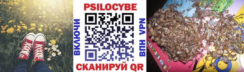 Галлюциногенные грибы MAGIC MUSHROOMS  Купить закладки  Краснокаменск 